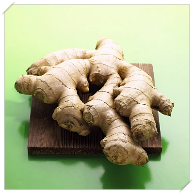 식도염 좋은 음식