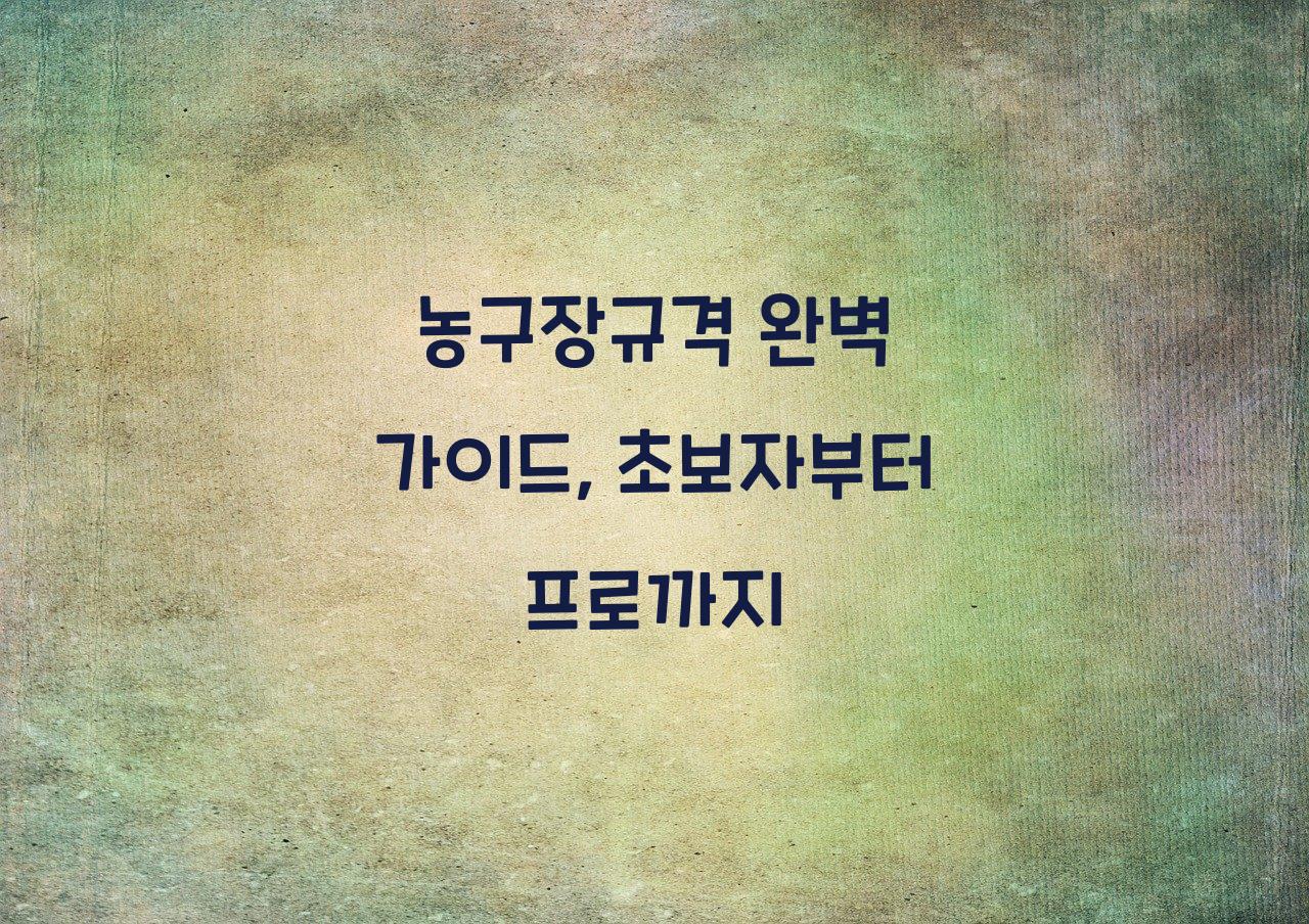 농구장규격