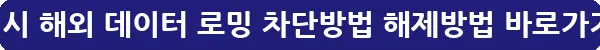갤럭시 해외 데이터 로밍 차단방법 해제방법_11