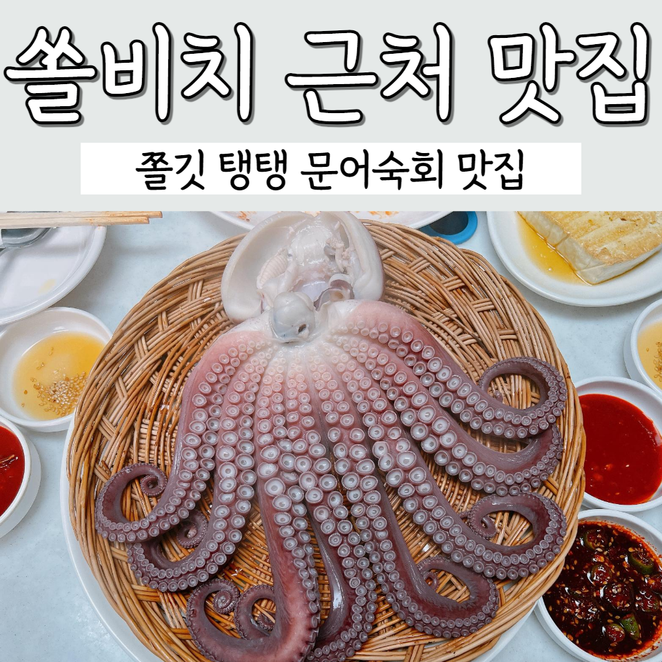 삼척 쏠비치리조트 근처 맛집