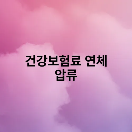 건강보험료 연체 압류