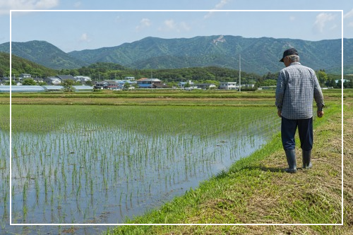 강원 평창 농업인수당 신청