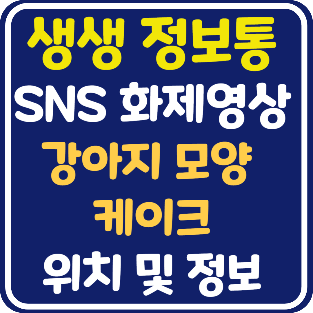 생생 정보통 구리 강아지 모양 케이크 가게 위치 및 정보 : SNS 화제 영상