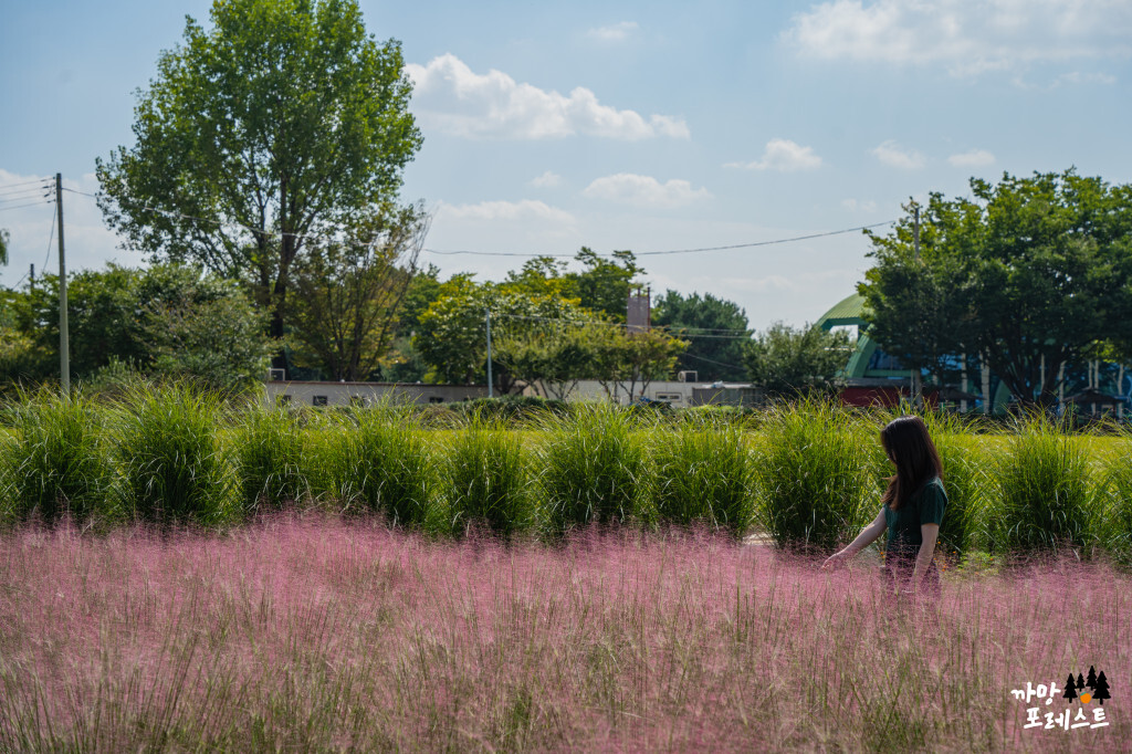 평택 바람새 마을