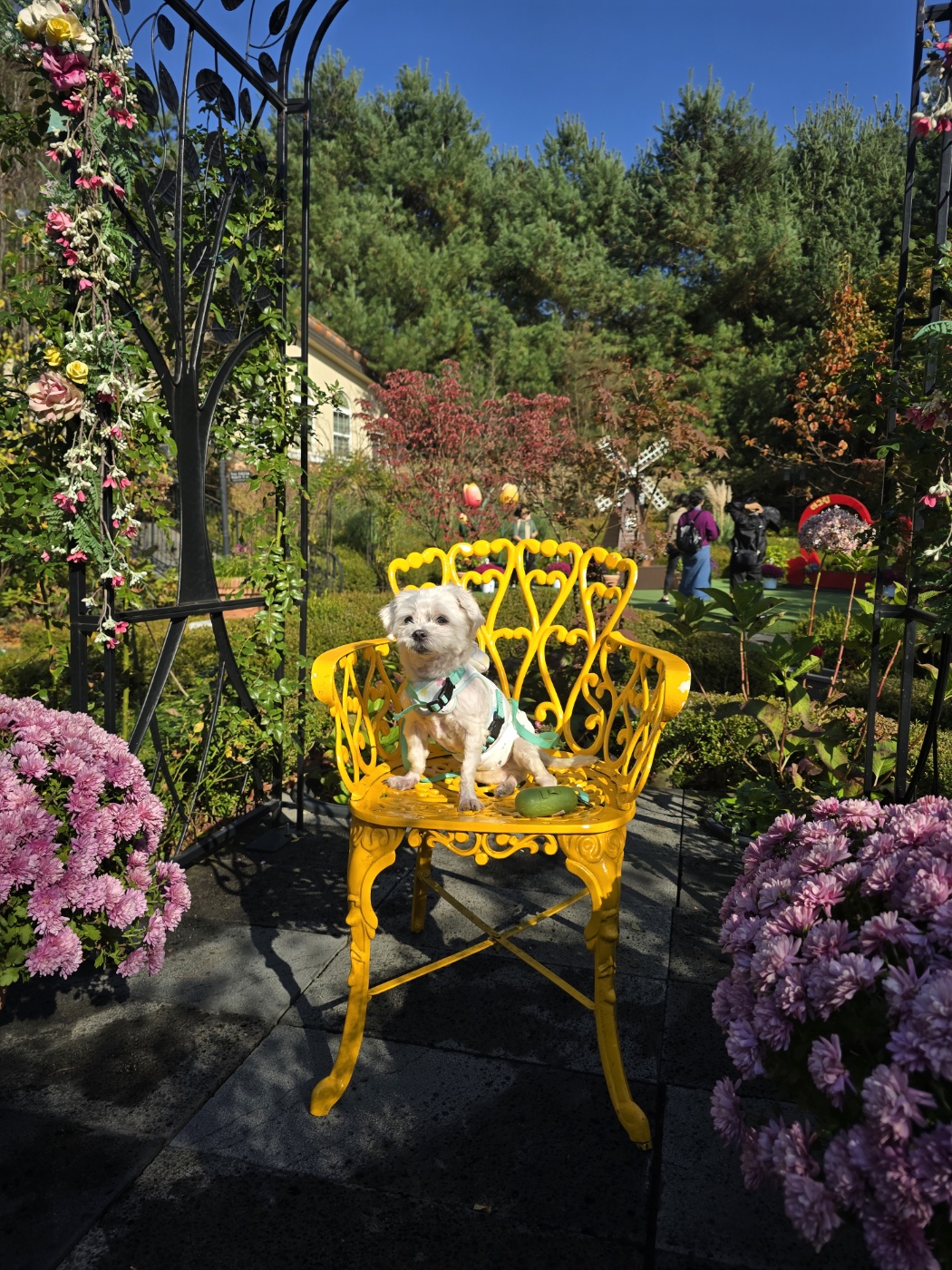 강아지-죽었을-때-위로