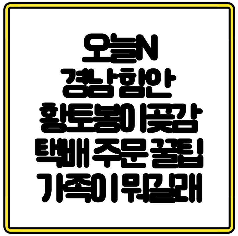 오늘N 경남 함안 황토봉이곶감 택배 주문 꿀팁 가족이 뭐길래