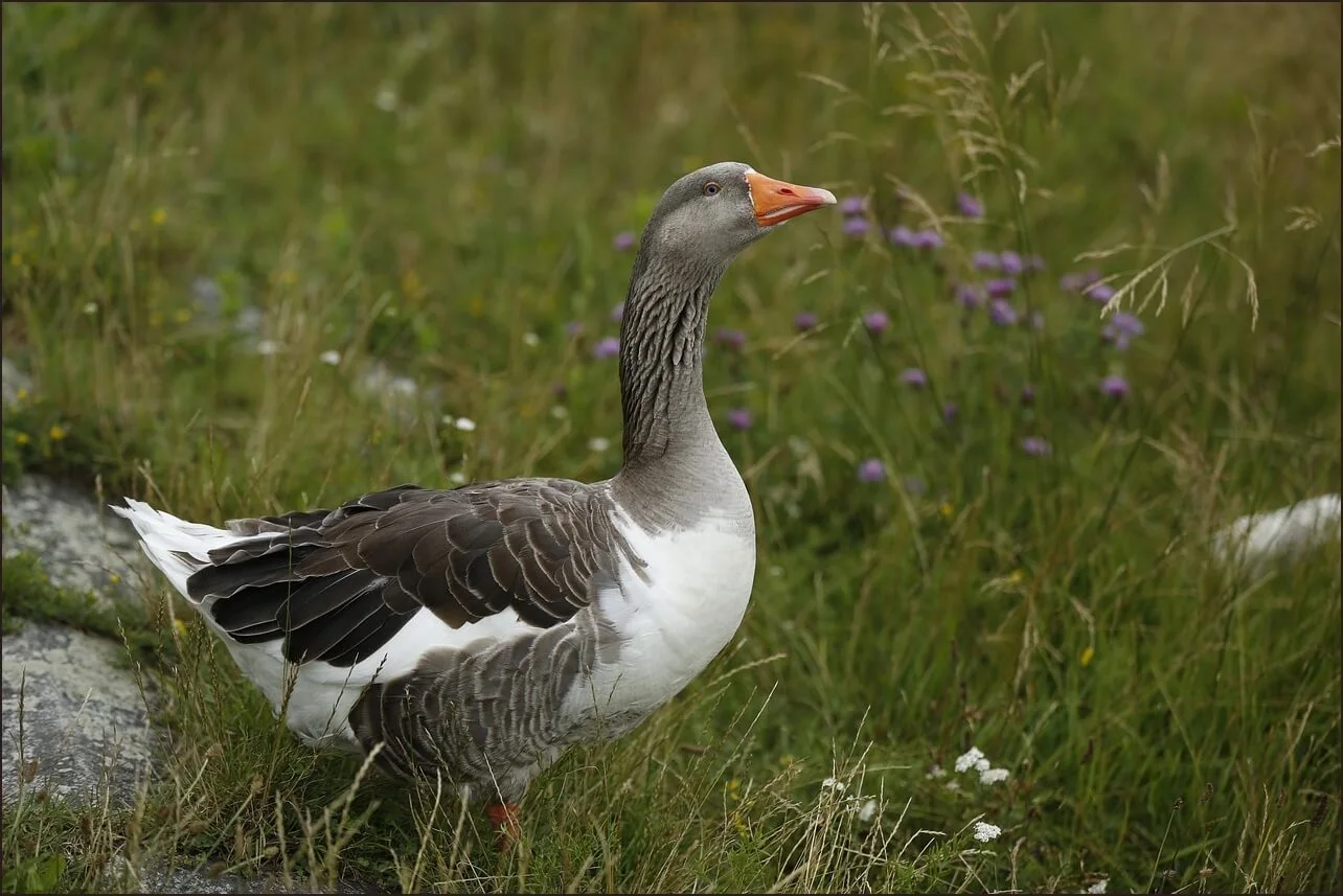 가족관계증명서 상세