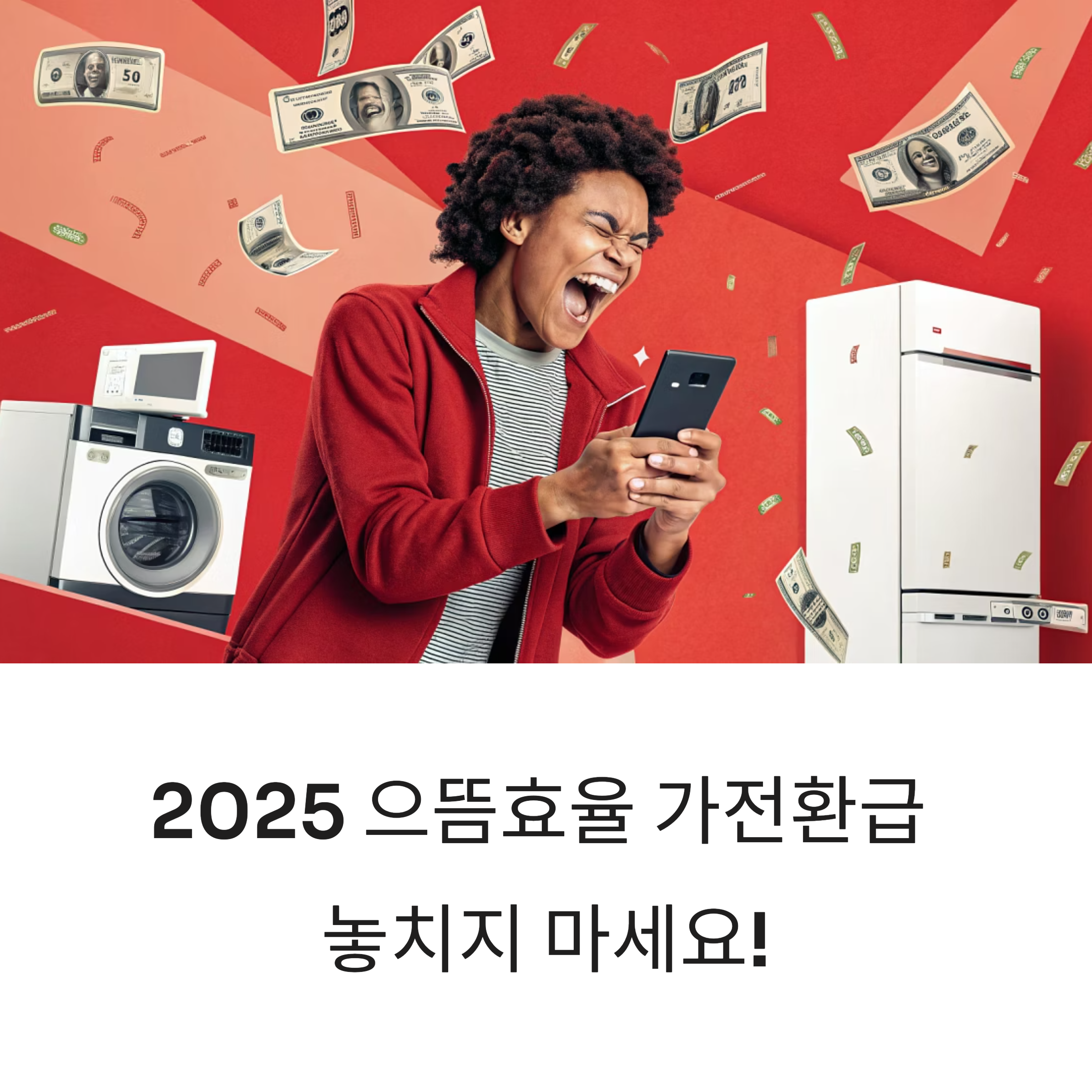 2025 으뜸효율 가전환급 완전정복 가이드, 놓치면 후회합니다!