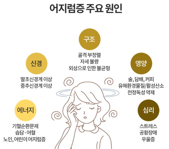 어지럼증의 원인 1