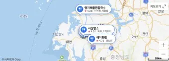 봄꽃 여행 성지 충남 서산 명소 BEST5_16