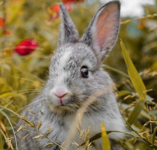 2023년 1월 띠별 운세
