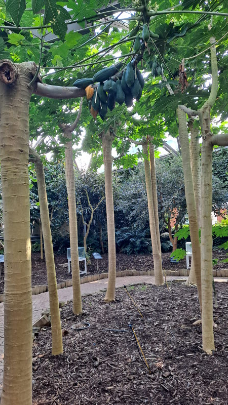 제주여행_여미지식물원