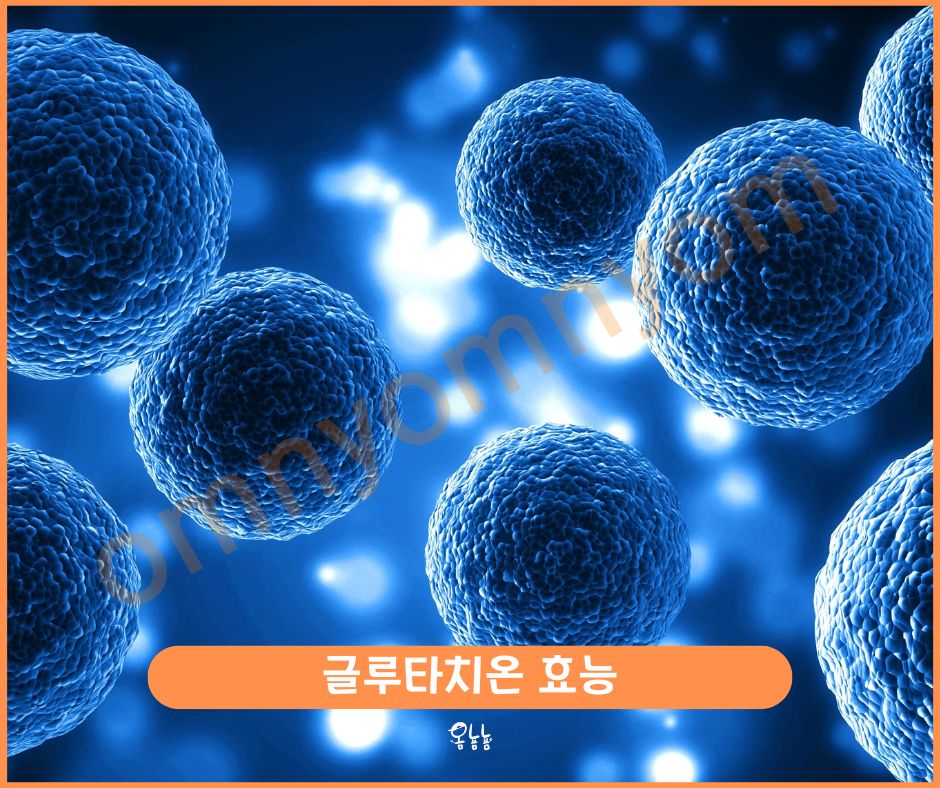 글루타치온 효능