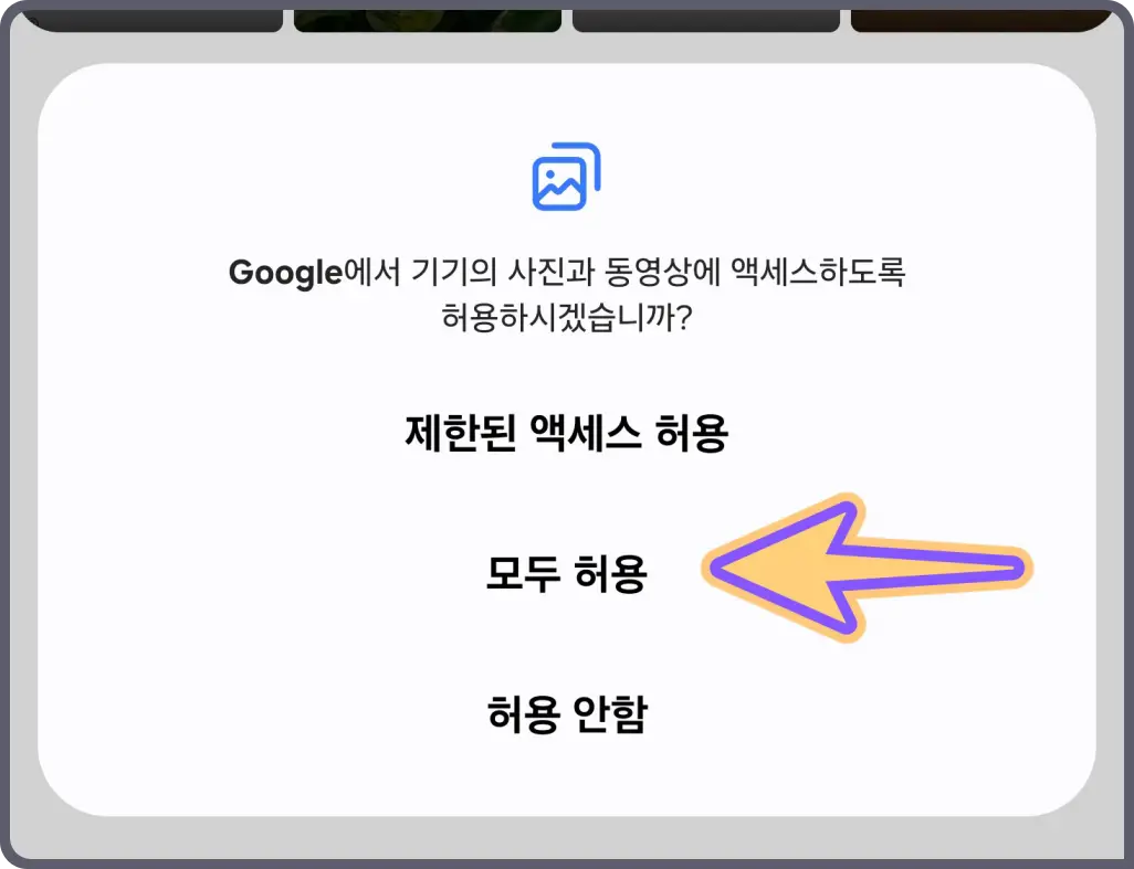 꽃-이름-찾기-방법-검색-어플