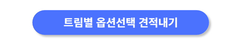 버튼
