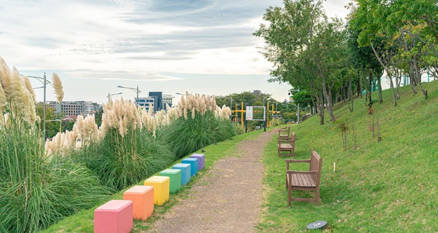 [국내가을여행지추천] 단풍명소 - 제주 가을 여행지 추천 팜파스 갈대정원