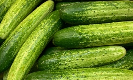 오이지 담그는 방법