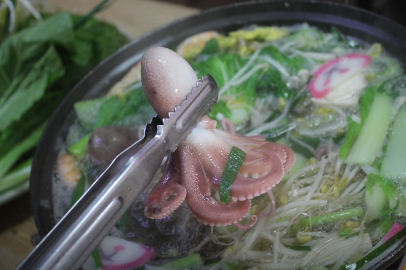 주꾸미 샤부샤부