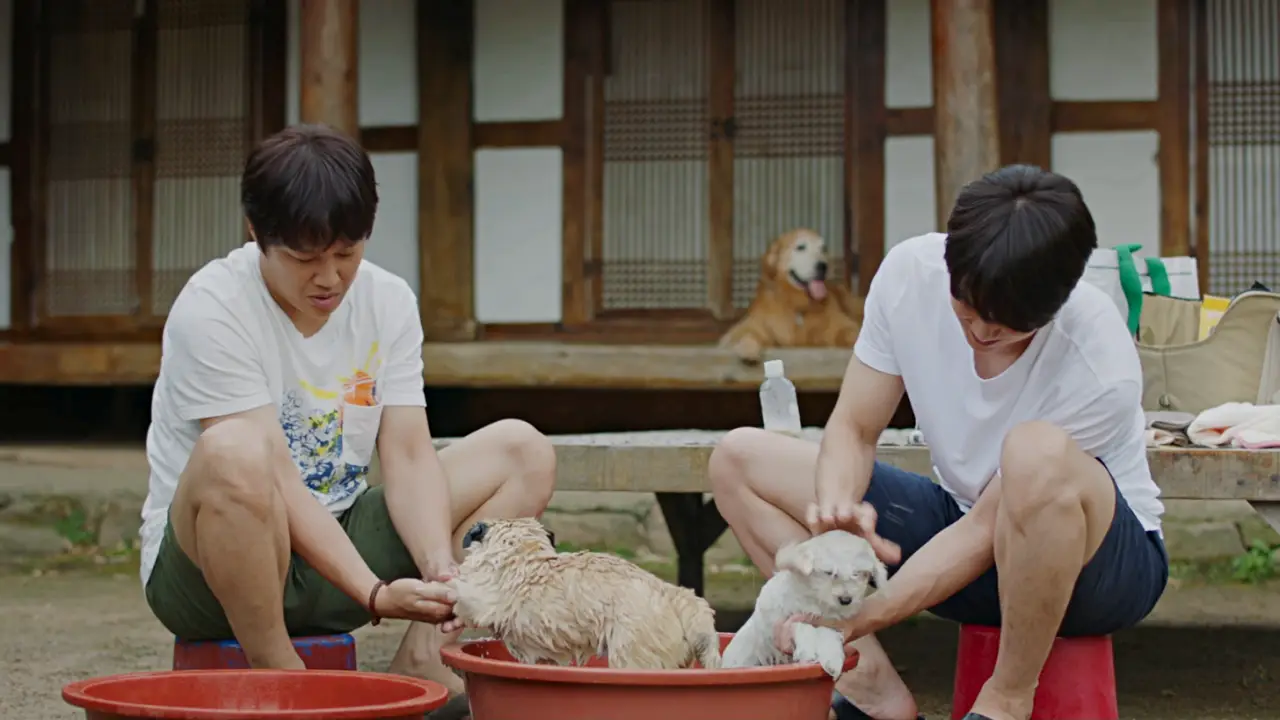 영화 멍뭉이 줄거리는 개를 맡기려다가 더 많은 개를 맡게 되는 줄거리다