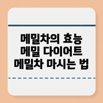 메밀차 효능-물대신 메밀차 먹는법-메밀차 다이어트