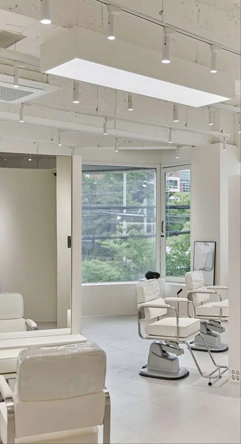 하이유헤어 두정점