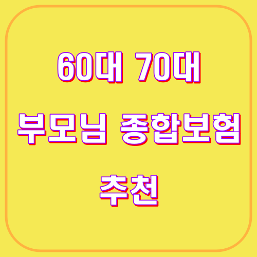 60대 70대 부모님 종합보험 추천 최저가