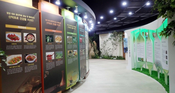 2025 함양산삼축제 리뷰 &ndash; 천년의 산삼을 체험할 최고의 가을 여행!