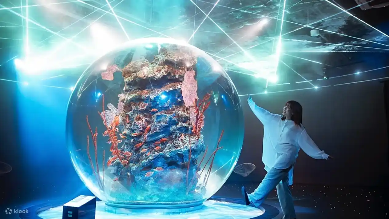 고베 아토아 수족관 도심 속 디지털 아트 수족관 일본