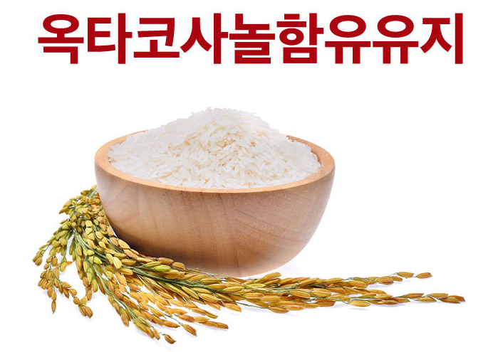 사군자 가격