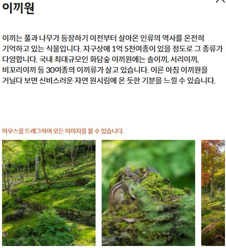 수선화 축제