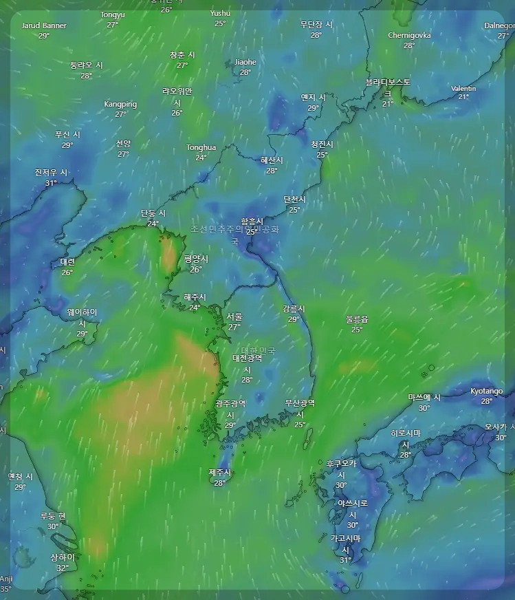 세계 날씨 실시간 영상