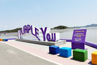 💜 보라빛 물결~