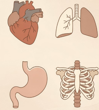 가슴 통증 원인
