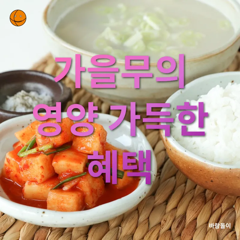 가을무김치 레시피_1