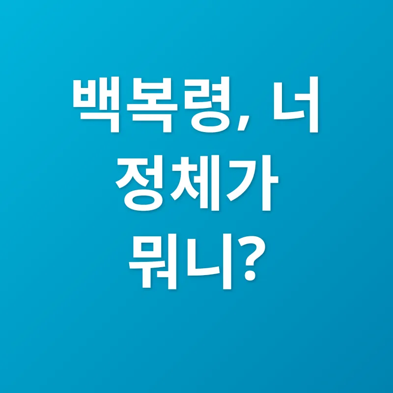 백복령 효능_1