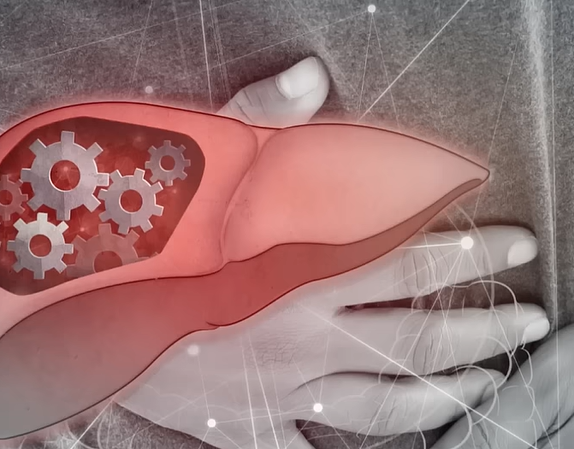 지방간 없애는 방법