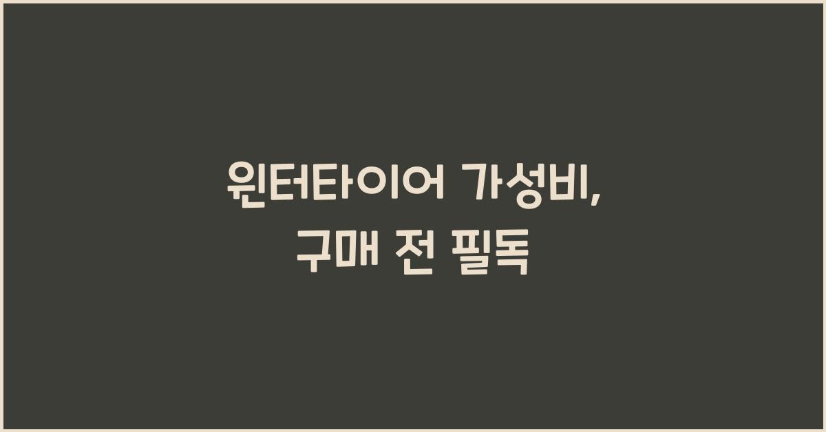윈터타이어 가성비