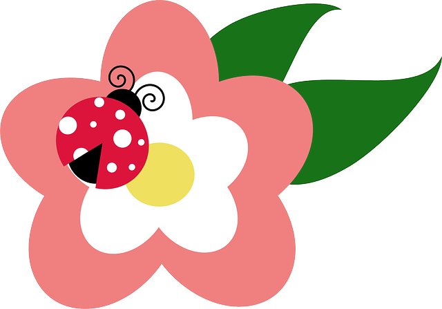 지네 꿈해몽 돈벌레 꿈해몽 벌레꿈해몽 황금지네