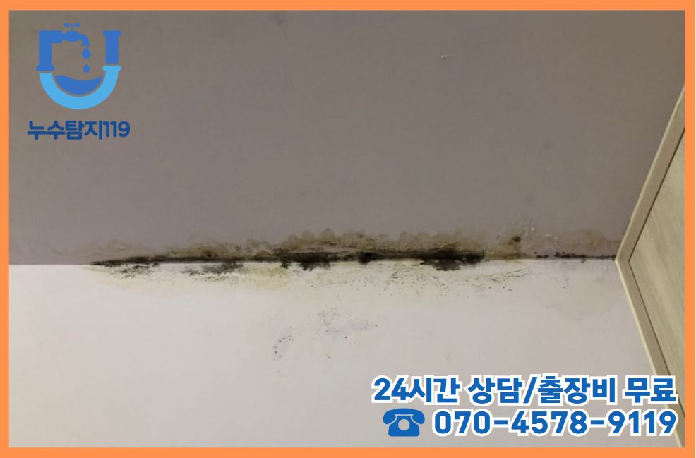반석동 아파트, 빌라, 상가2