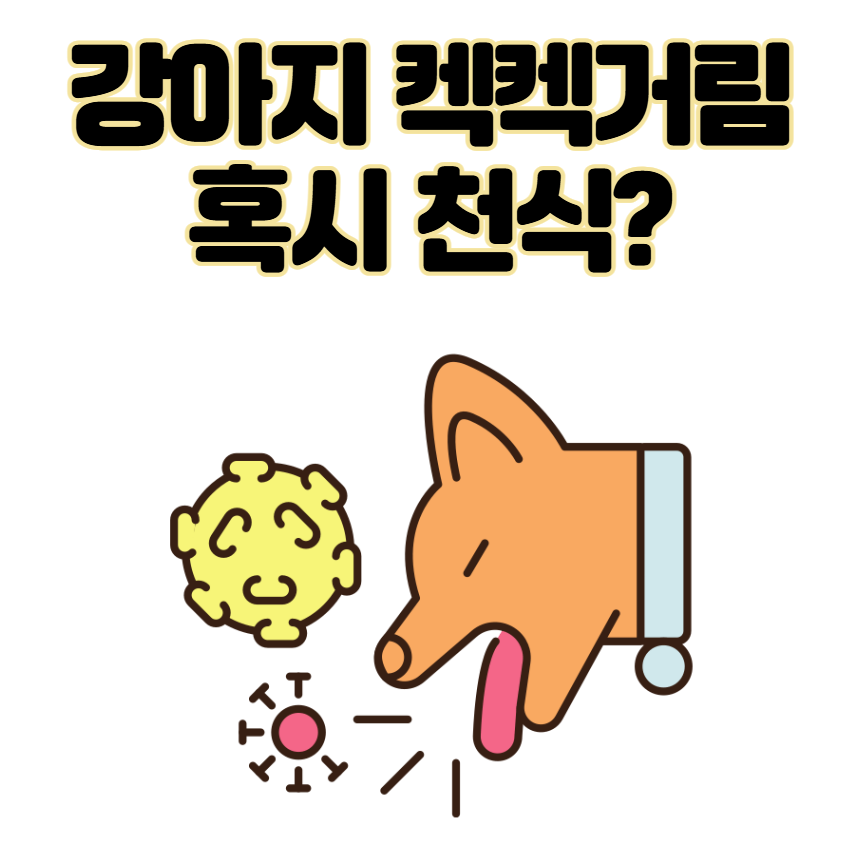 강아지 쌕쌕 켁켁거림, 혹시 천식? 보호자가 꼭 알아야 할 모든 것