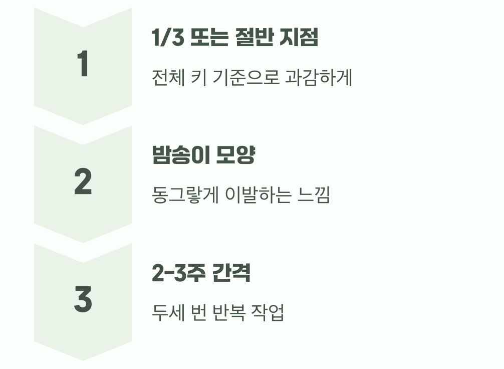 3. 가위 드는 법, 어떻게 잘라야 할까?