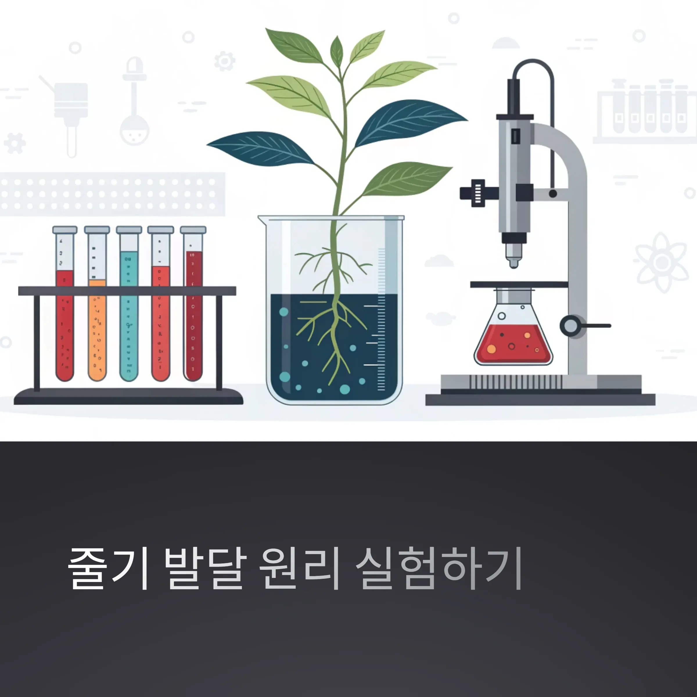 줄기 발달 원리 실험하기