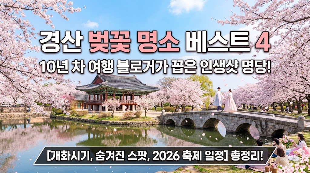 경산 벚꽃 명소