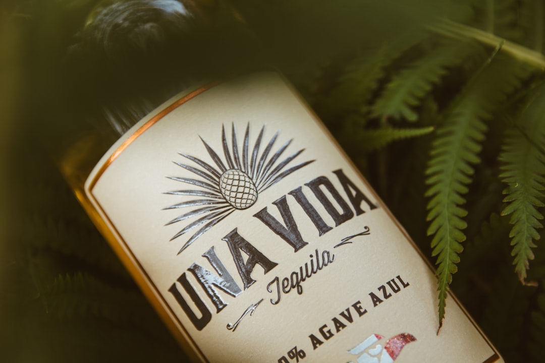 VIN (Vehicle Identification Number)