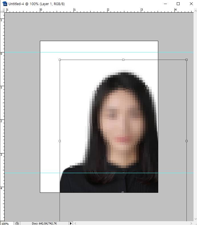 여권 사진 규격 맞추기