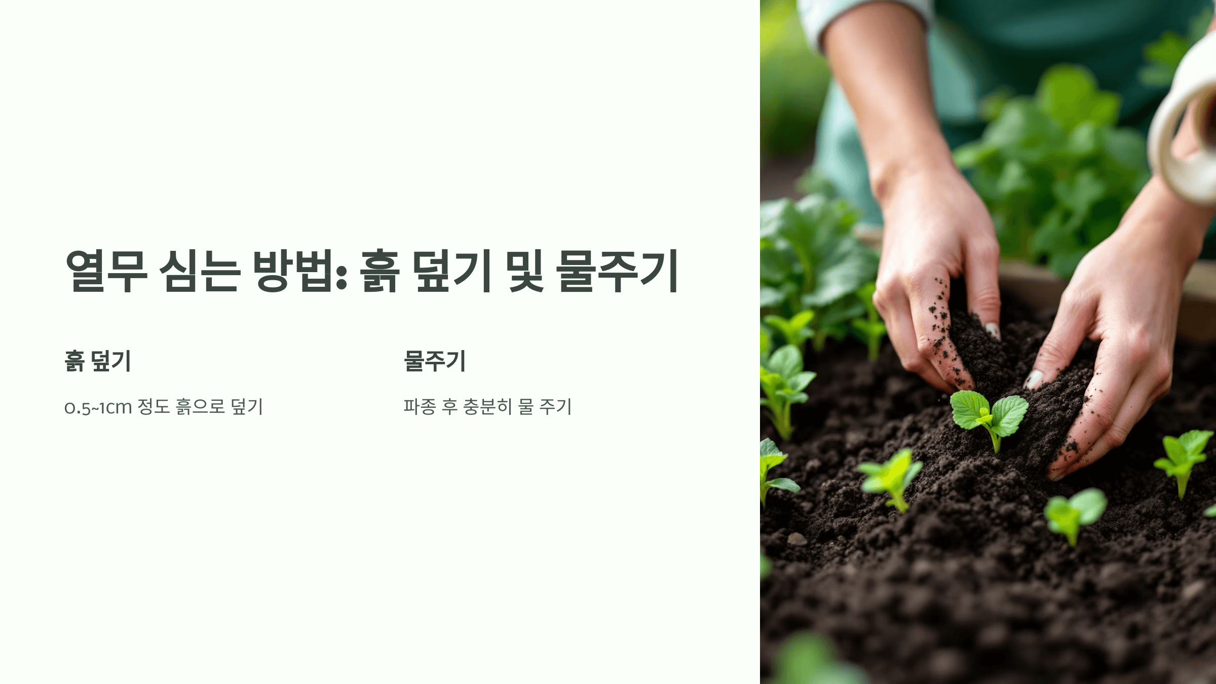 열무 사진입니다.