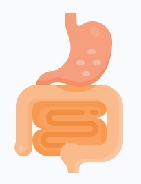 ㄴ