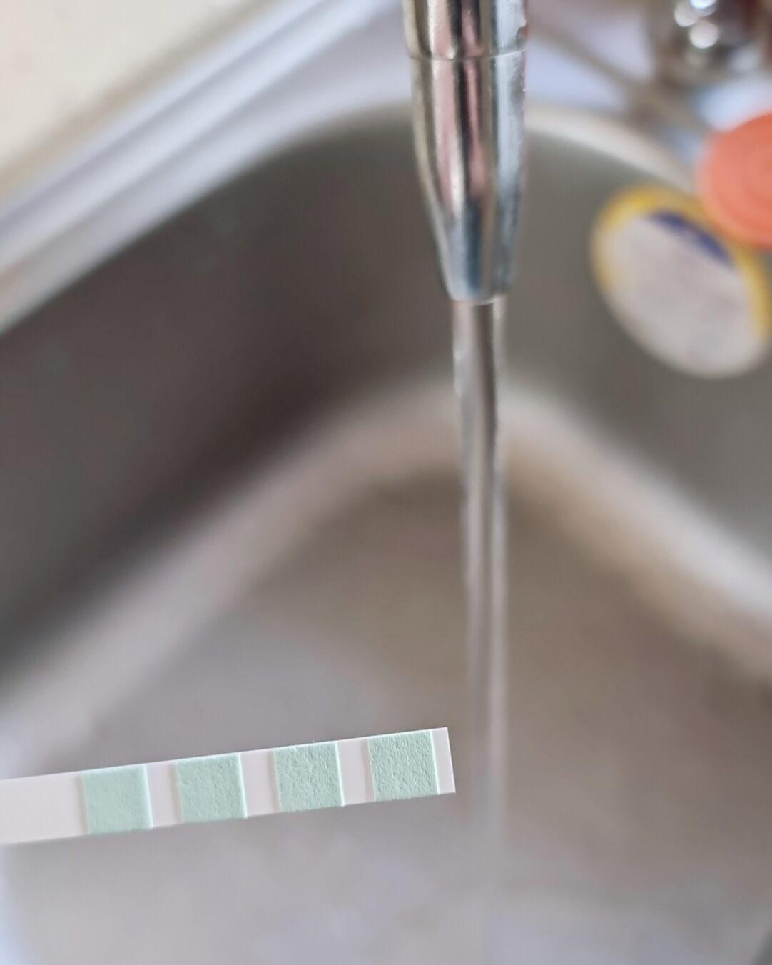 물경도 검사 중