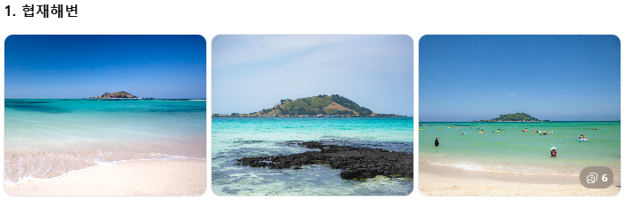 렌터카보다 효율적인 제주 관광택시, 중형·대형 제주택시투어 비교! 1일 코스별 예산 가이드