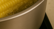 초당옥수수 삶는법
